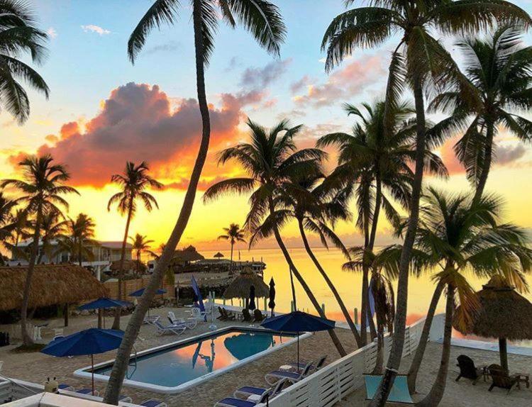 Drop Anchor Resort & Marina Islamorada Eksteriør billede
